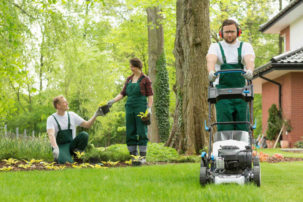 Full-Lawn-Care