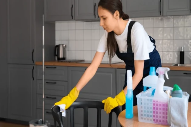 Maid Services Anna