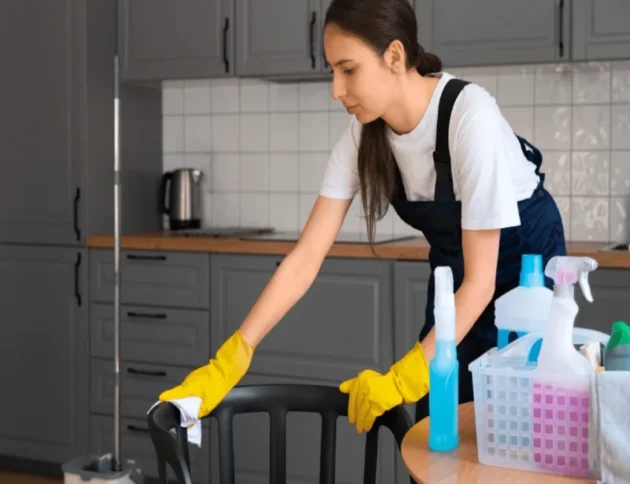Maid Services Anna